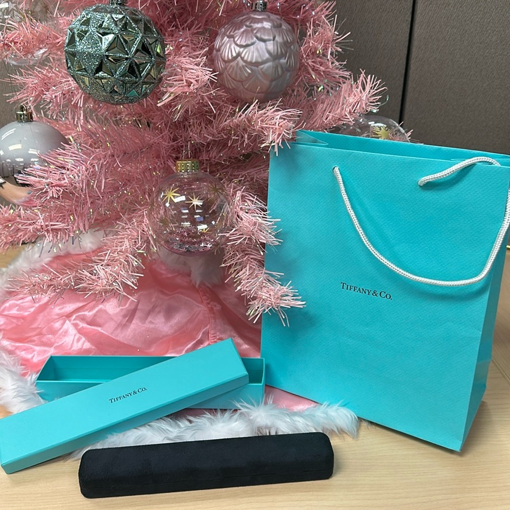 Tiffany Bracelet case, box, and bag